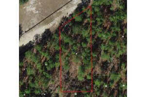 6046 PELL PLACE, DUNNELLON, FL 34433 - MLS#MFRTB8482566