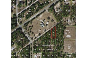 6046 PELL PLACE, DUNNELLON, FL 34433 - MLS#MFRTB8482566