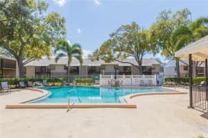 4513 OAK DRIVE, TAMPA, FL 33611 - MLS#MFRTB8482588