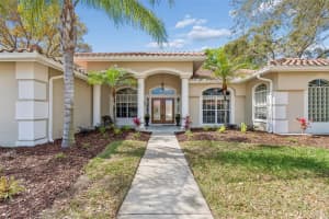 3351 BRISTOL PLACE, TARPON SPRINGS, FL 34688 - MLS#MFRTB8482613