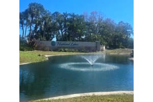 1001 TARTAN DRIVE, PALM HARBOR, FL 34684 - MLS#MFRTB8482639