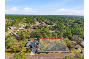 9119 ALPINIA DRIVE, CITRUS SPRINGS, FL 34434 - MLS#MFRTB8482644