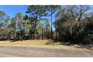 9119 ALPINIA DRIVE, CITRUS SPRINGS, FL 34434 - MLS#MFRTB8482644