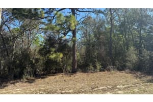 9119 ALPINIA DRIVE, CITRUS SPRINGS, FL 34434 - MLS#MFRTB8482644