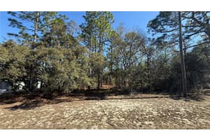 9119 ALPINIA DRIVE, CITRUS SPRINGS, FL 34434 - MLS#MFRTB8482644