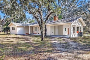 34582 ORCHID PARKWAY, DADE CITY, FL 33523 - MLS#MFRTB8482652