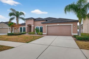 14227 ALISTAR MANOR DRIVE, WIMAUMA, FL 33598 - MLS#MFRTB8482654