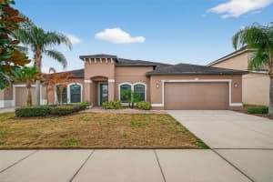 14227 ALISTAR MANOR DRIVE, WIMAUMA, FL 33598 - MLS#MFRTB8482654