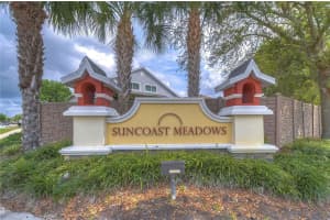 17455 GARDEN HEATH COURT, LAND O LAKES, FL 34638 - MLS#MFRTB8482662