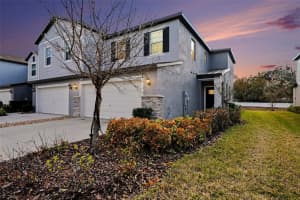 6269 SHINER STREET, LAND O LAKES, FL 34638 - MLS#MFRTB8482667
