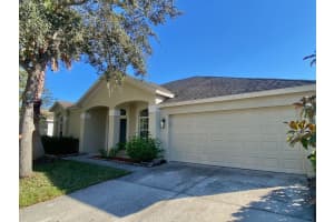 3711 Juneberry Dr, WESLEY CHAPEL