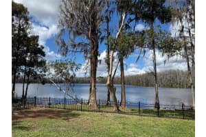 21001 LAKE VIENNA DRIVE, LAND O LAKES, FL 34638 - MLS#MFRTB8482676