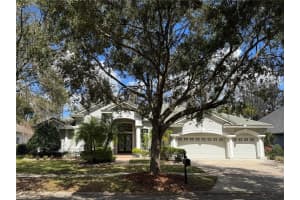 21001 LAKE VIENNA DRIVE, LAND O LAKES, FL 34638 - MLS#MFRTB8482676