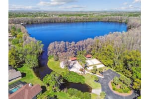 21001 LAKE VIENNA DRIVE, LAND O LAKES, FL 34638 - MLS#MFRTB8482676