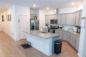 20147 AZUL MARBLE LOOP, LAND O LAKES, FL 34638 - MLS#MFRTB8482684