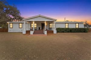 11040 BROWNING ROAD, LITHIA, FL 33547 - MLS#MFRTB8482690