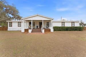 11040 BROWNING ROAD, LITHIA, FL 33547 - MLS#MFRTB8482690