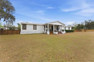 11040 BROWNING ROAD, LITHIA, FL 33547 - MLS#MFRTB8482690