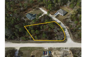 15525 CLIFF SWALLOW ROAD, BROOKSVILLE, FL 34614 - MLS#MFRTB8482700