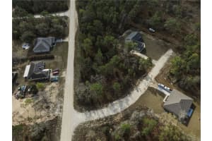 15525 CLIFF SWALLOW ROAD, BROOKSVILLE, FL 34614 - MLS#MFRTB8482700