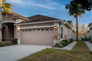 20748 AMANDA OAK COURT, LAND O LAKES, FL 34638 - MLS#MFRTB8482715