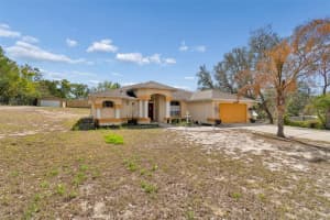16402 FRINGE TREE DRIVE, SPRING HILL, FL 34610 - MLS#MFRTB8482716