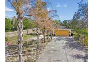 16402 FRINGE TREE DRIVE, SPRING HILL, FL 34610 - MLS#MFRTB8482716