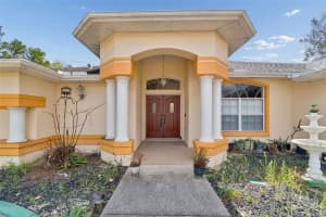 16402 FRINGE TREE DRIVE, SPRING HILL, FL 34610 - MLS#MFRTB8482716