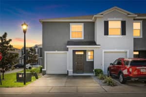 8502 FALLING BLUE PLACE, RIVERVIEW, FL 33578 - MLS#MFRTB8482724