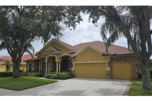 1547 EL PARDO DRIVE, TRINITY, FL 34655 - MLS#MFRTB8482729