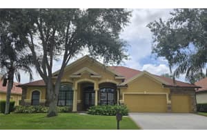 1547 EL PARDO DRIVE, TRINITY, FL 34655 - MLS#MFRTB8482729