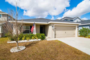 11911 STONE PINE STREET, RIVERVIEW, FL 33569 - MLS#MFRTB8482733