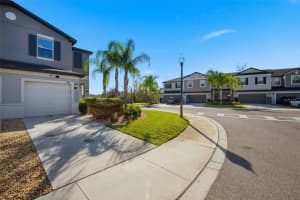 1488 CASSIUS STREET, LUTZ, FL 33549 - MLS#MFRTB8482739