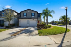 1488 CASSIUS STREET, LUTZ, FL 33549 - MLS#MFRTB8482739