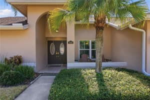 5860 WINDERMERE DRIVE, PALM HARBOR, FL 34685 - MLS#MFRTB8482741