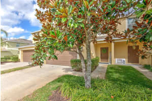 20223 INDIAN ROSEWOOD DRIVE, TAMPA, FL 33647 - MLS#MFRTB8482757