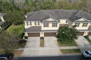 20223 INDIAN ROSEWOOD DRIVE, TAMPA, FL 33647 - MLS#MFRTB8482757