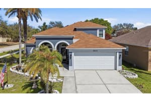 18212 Brookpark Dr, TAMPA