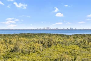 10851 Mangrove Cay Ln Ne #1112, ST PETERSBURG