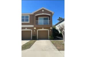 8913 Moonlit Meadows Loop, RIVERVIEW