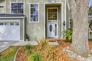 17705 ESPRIT DRIVE, TAMPA, FL 33647 - MLS#MFRTB8482824