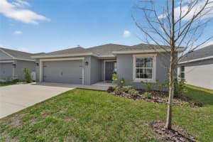 12367 MARSHLAND STREET, RIVERVIEW, FL 33579 - MLS#MFRTB8482830