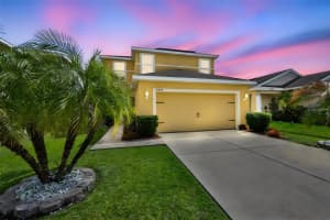 14430 HADDON MIST DRIVE, WIMAUMA, FL 33598 - MLS#MFRTB8482861