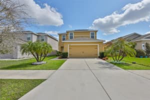 14430 HADDON MIST DRIVE, WIMAUMA, FL 33598 - MLS#MFRTB8482861