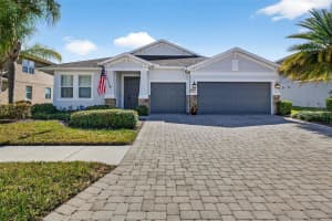 3204 MAPLERIDGE DRIVE, LUTZ, FL 33558 - MLS#MFRTB8482900