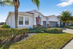 3204 MAPLERIDGE DRIVE, LUTZ, FL 33558 - MLS#MFRTB8482900