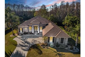 3305 SHEEHAN DRIVE, LAND O LAKES, FL 34638 - MLS#MFRTB8482902