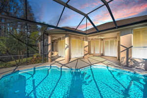 3305 SHEEHAN DRIVE, LAND O LAKES, FL 34638 - MLS#MFRTB8482902