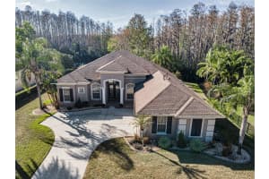 3305 SHEEHAN DRIVE, LAND O LAKES, FL 34638 - MLS#MFRTB8482902
