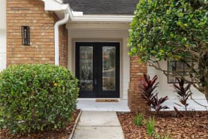 346 CARSON LANE, PALM HARBOR, FL 34684 - MLS#MFRTB8482907